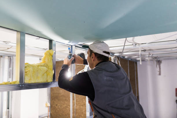 Best Insulation Air Sealing  in Minco, OK